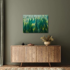 Kép - fenyőerdő (üvegen) (70x50 cm)