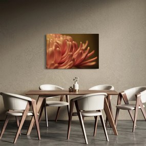 A virág részletének képe (90x60 cm)