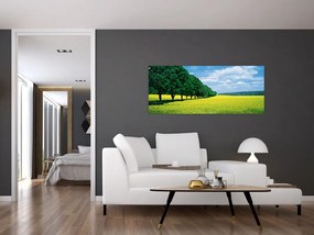 A mező képe egy sikátorral (120x50 cm)