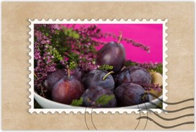 Poszter 60x40 Magyar szilva