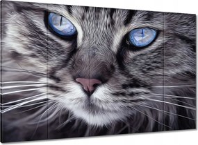 Vászonkép 100x70 Kék szemű cica