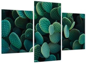 Kép - Opuntia (90x60 cm)