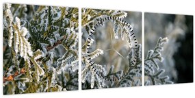 Kép - Ág részlet (órával) (90x30 cm)