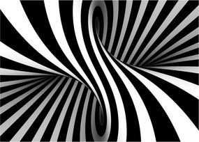 Absztrakt kép zebra csíkokkal (70x50 cm)