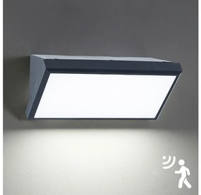 Brilagi Brilagi - LED Kültéri fali lámpa érzékelővel TRIANGLE LED/20W/230V antracit BG1021