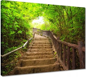 Vászonkép 50x40 Lépcsők az erdőbe