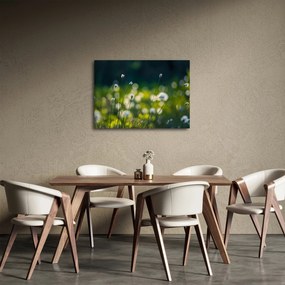 Kép - Fű (70x50 cm)