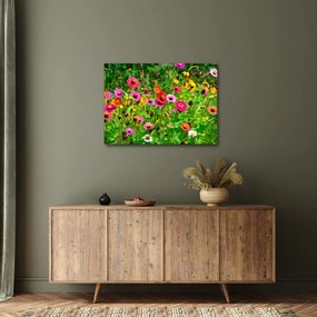 Réti virágok képe (70x50 cm)