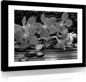 Vászonkép 70x50 Orchideák virágok kövek bambusz nyugalom természet elegancia