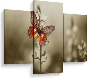 Pillangó képe (90x60 cm)