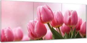 Vászonkép 150x70 Rózsaszín tulipánok