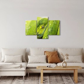 Kígyó képe (90x60 cm)