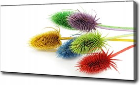 Vászonkép modern Bogáncs 100x70 cm