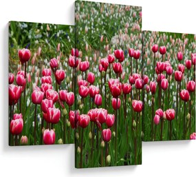 Tulipán képe (90x60 cm)