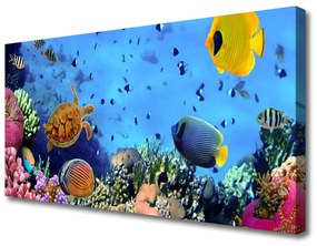 Vászonkép Barrier Reef Nature 100x50 cm