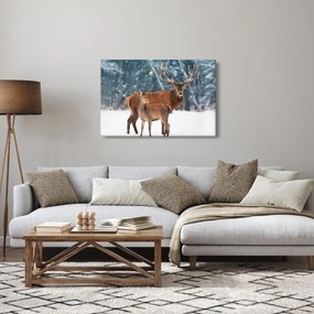 Kép egy szarvasról és őzikéről (90x60 cm)
