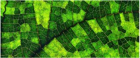 Kép - A lap részlete (120x50 cm)
