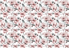 3D fotótapéta virágok bazsarózsa rózsák növények 208 x