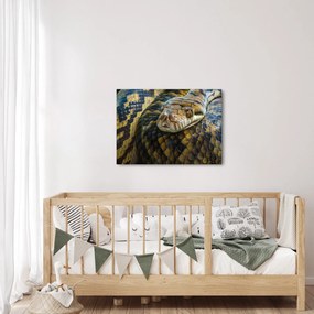 Kép - Piton (70x50 cm)