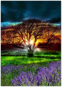 Poszterek 50x70 Az élet fája