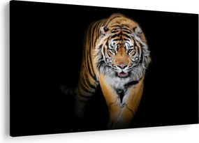 Kép - Tigris (90x60 cm)