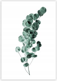 Dekoria Poszter Eucalyptus Emerald Green
