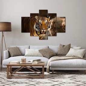 Tigris képe (150x105 cm)