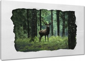 Vászonkép 60x40 Szarvas az erdő közepén