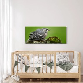 Kép - Légykapó (120x50 cm)