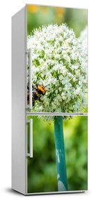 Dekor matrica hűtőre Virágok fokhagyma FridgeStick-70x190-f-88554833