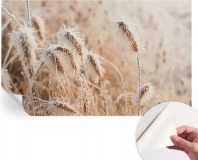 Dekoratív öntapadós fotótapéta Hálószobába Téli tájkép 416x254 cm