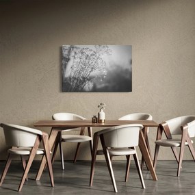 Kép - Mező az eső után (90x60 cm)