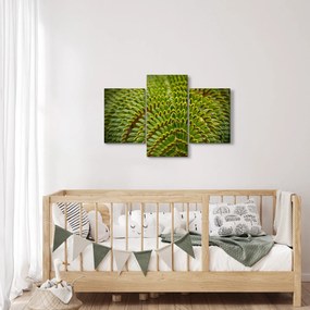 Kép - Fern (90x60 cm)