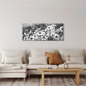Kép - Százszorszépek (120x50 cm)