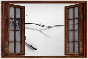 Poszterek 60x40 Tenger Gyökér a tengerparton