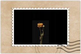 Poszterek 90x60 Szárított piros pipacs