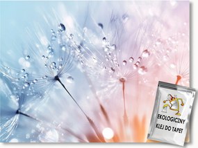 Fotótapéta Flizelina Természet Virág Pitypang Makró 254x184 ragasztó