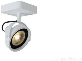 LUCIDE-31931-12-31 TALA-LED Fehér Színű Mennyezeti Lámpa 1XGU10 AR111 12W IP20