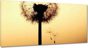 Vászonkép 115x55 Pitypang Virág Virágok