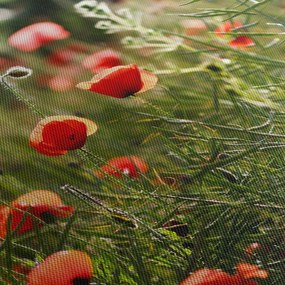 Pipacsok képe (120x50 cm)