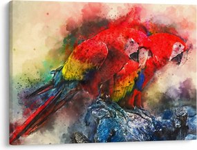 Vörös ara papagájok képe (70x50 cm)