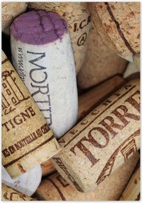 Poszterek 70x100 Színes bordugók