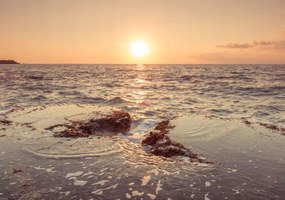 Poszter 66,5x46,5cm Naplemente a tengerparton, Assaf Frank