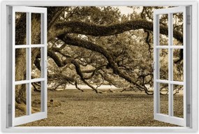 Poszterek 60x40 Erőteljes tölgy