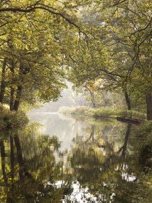 Poszter 60x80cm Basingstoke csatorna 2, Assaf Frank