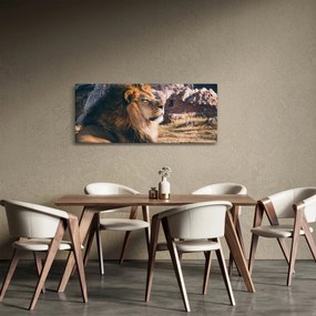 Egy fekvő oroszlán képe (120x50 cm)