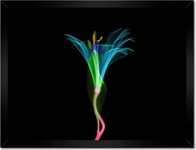 Poszterek keretben 40x30 Virágok