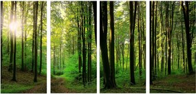 Faliképek Zöld erdő Nagy kép hálószoba nappali dekoráció 60x120