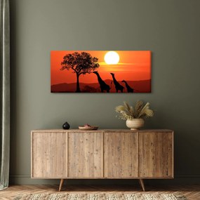 Zsiráfok képe naplementekor (120x50 cm)