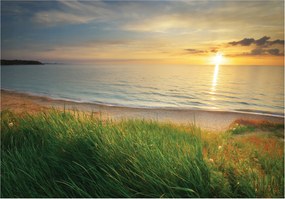 Fotótapéta Naplemente tenger fű vinil 368x254 +ragasztó